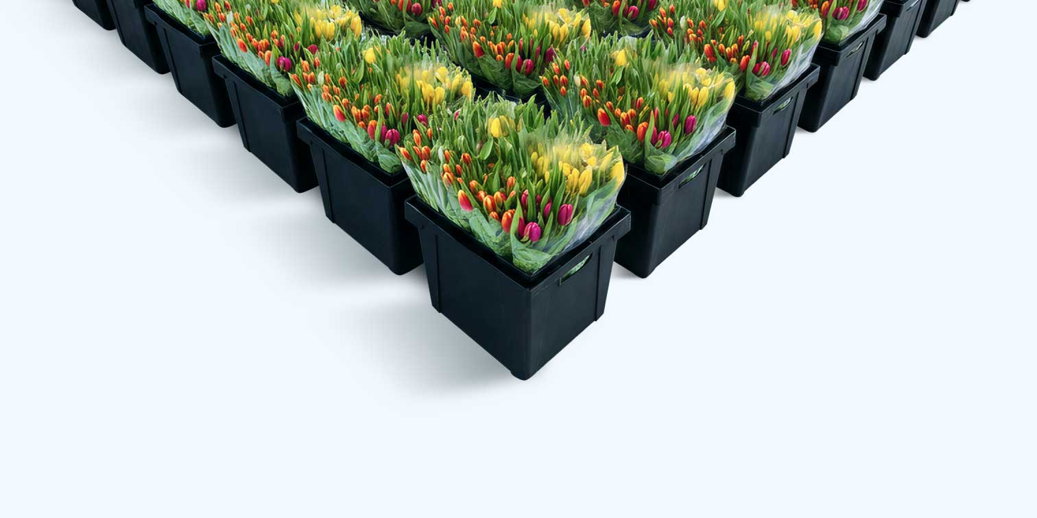 Afbeelding zonder ALT